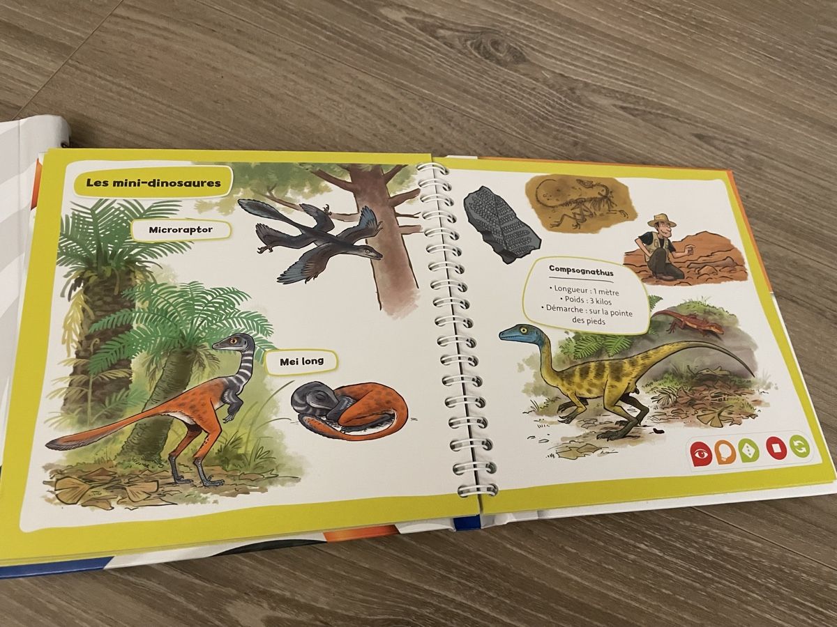 Tiptoi Giochi: Lot 2 livres interactifs Tiptoi Mini Doc – Nuovo (secondo la descrizione) da Sierre venduto da Ruyfigas 3