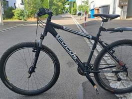 MTB Focus, Alurad 26 Zoll