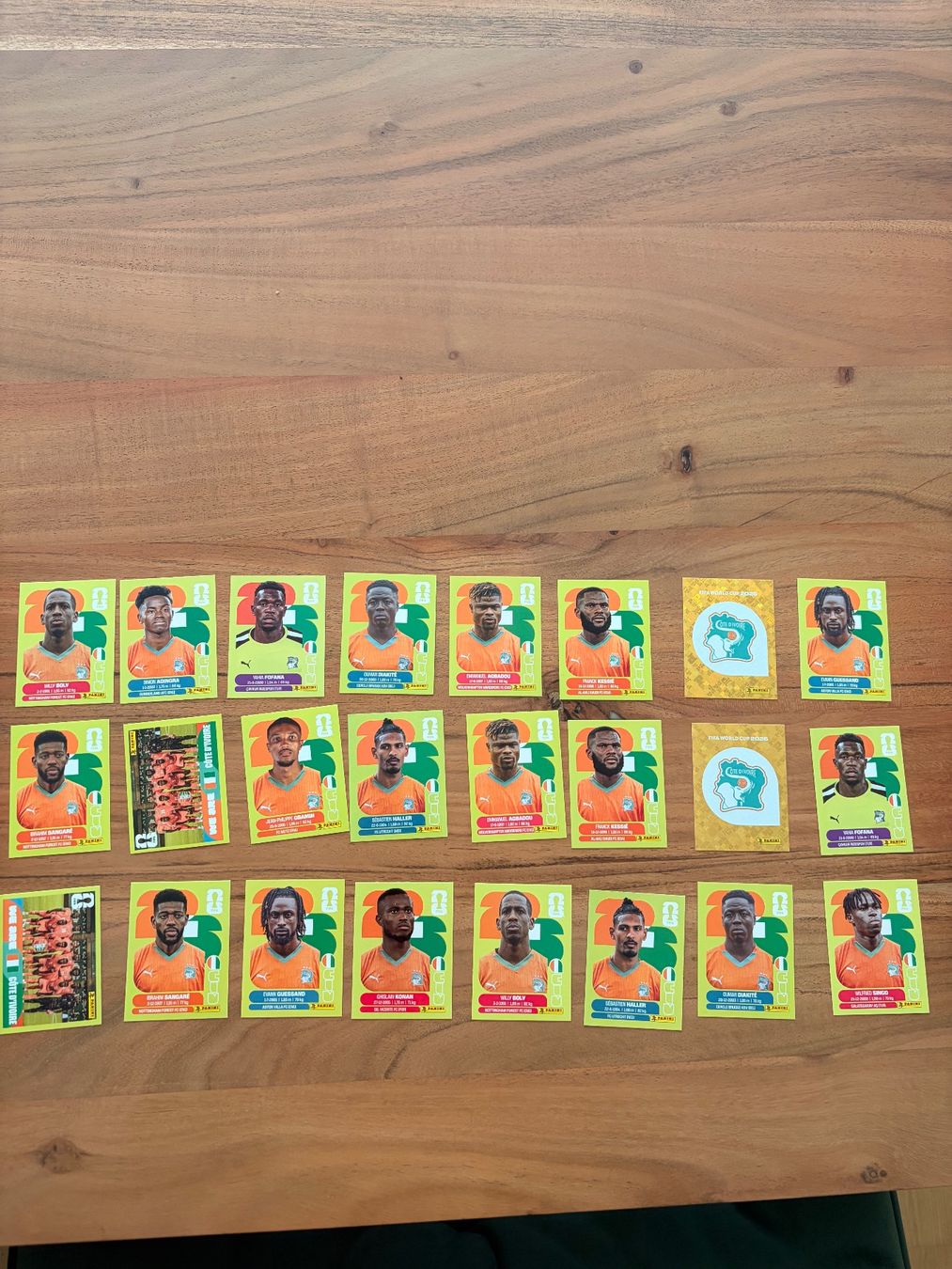 Panini Carte collezionabili: Panini Elfenbeinküste CIV 2026 – Usato da Solothurn venduto da rah_g92d