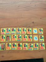 Panini Elfenbeinküste CIV 2026