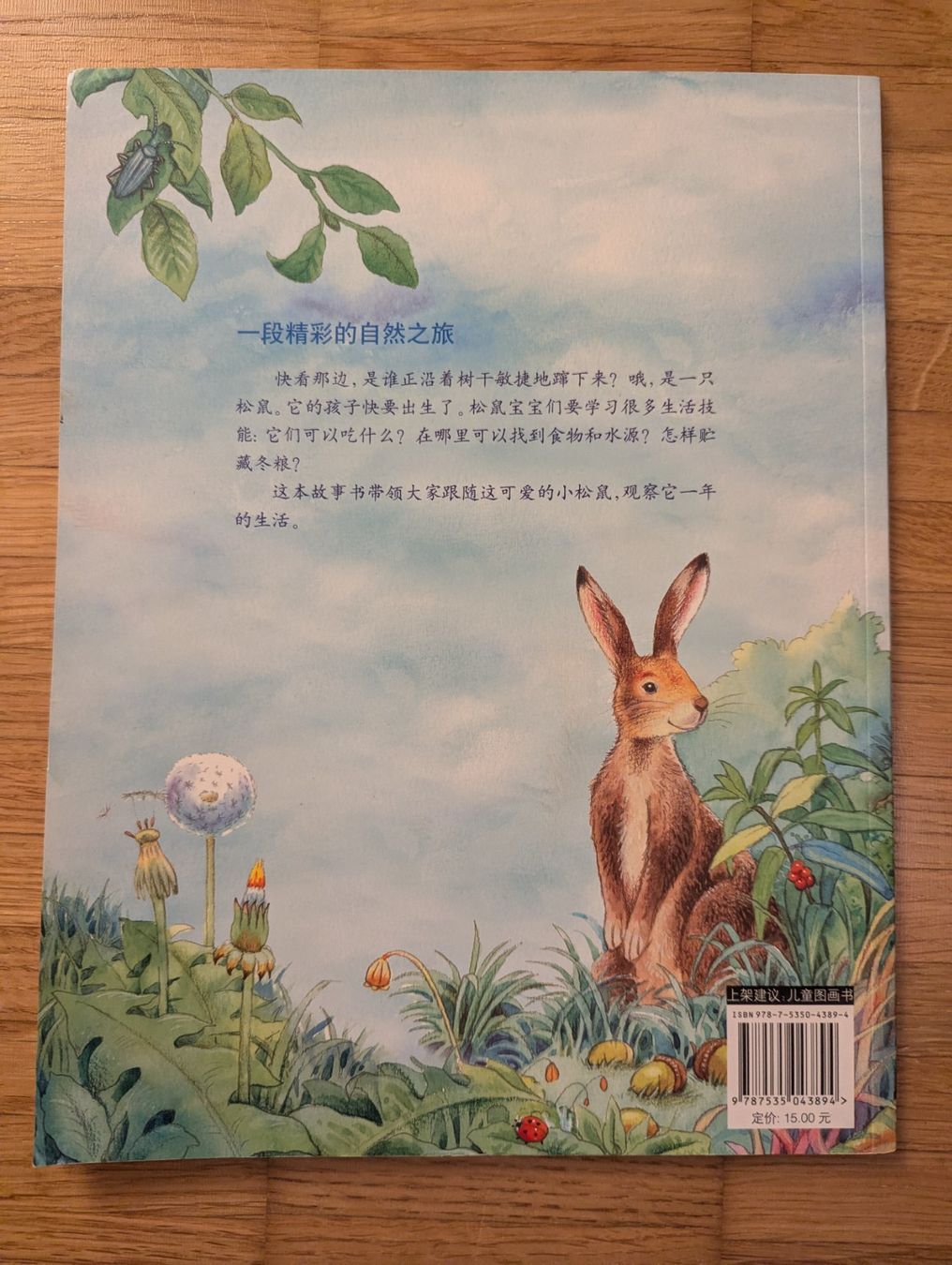 Libri: Chinesisches Kinderbuch: Das Leben eines Eichhörnchens – Usato da JONA venduto da gin_yl55 1