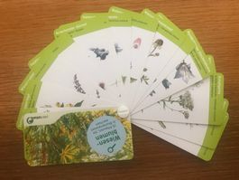 Fächer Wiesenblumen von Pro Natura