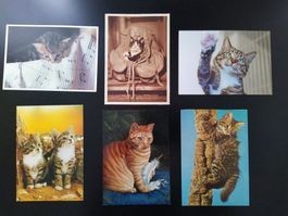 Büsi 6er Set Vintage Katzen Postkarten, Rarität