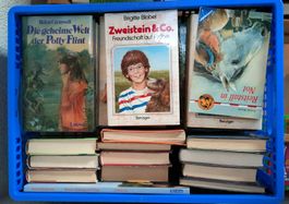 Ca. 360 Jugend- und Jugendsachbücher suchen eine neue Heimat