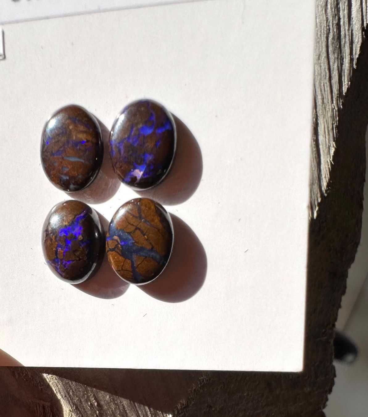 Fossili: Opale - 4 Stk Boulder Opal - Cabochons, BLAU!!!  TOP – Nuovo e nell'imballaggio originale da Leuggern venduto da gemshow 6
