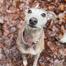Profile image of aurelie.chris