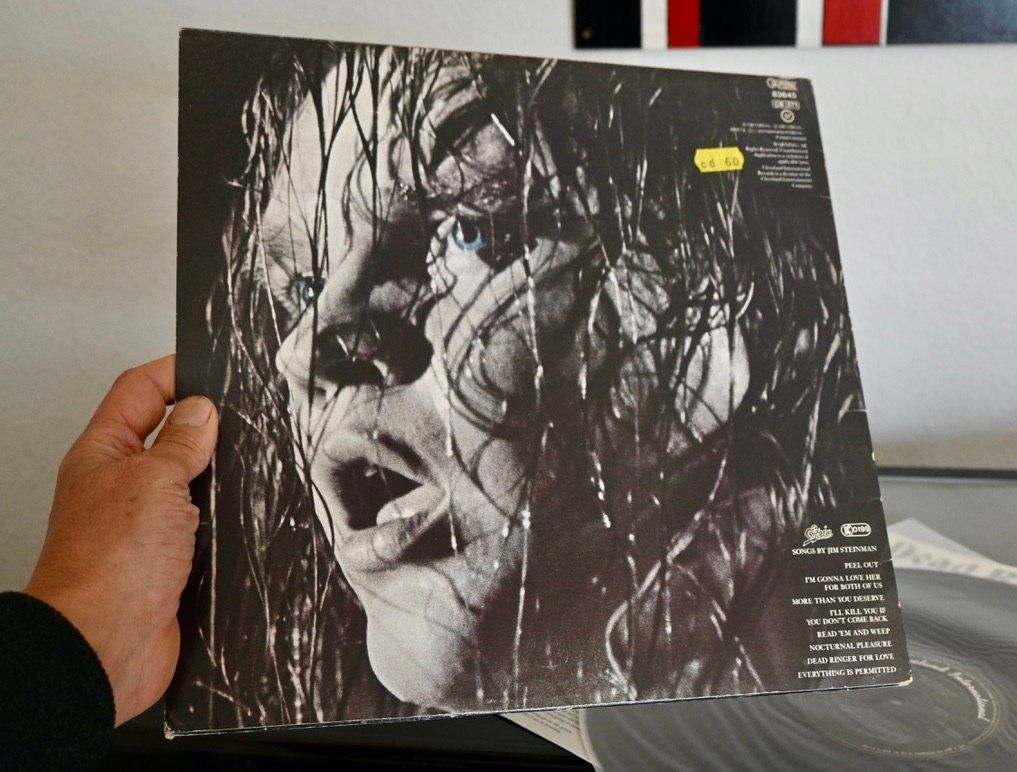 Dischi in vinile: Meat Loaf – Dead Ringer LP 1981 – Usato da Pfaffhausen venduto da mono_rec 1