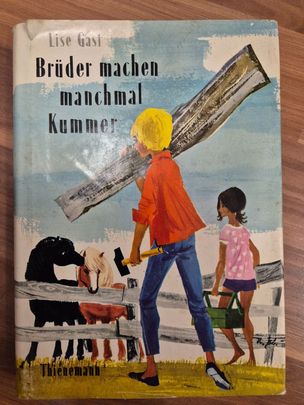 Bücher: Kinderbuch "Brüder machen Kummer" von Lise Gast, 1965 K6 – Gebraucht aus Schwarzenburg von Flamingo07