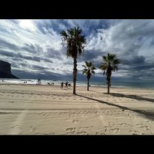 Profile image of _Estella_