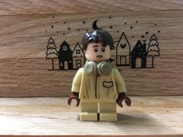 Lego Harry Potter Minifigur - hp271 Neville Longbottom 76384