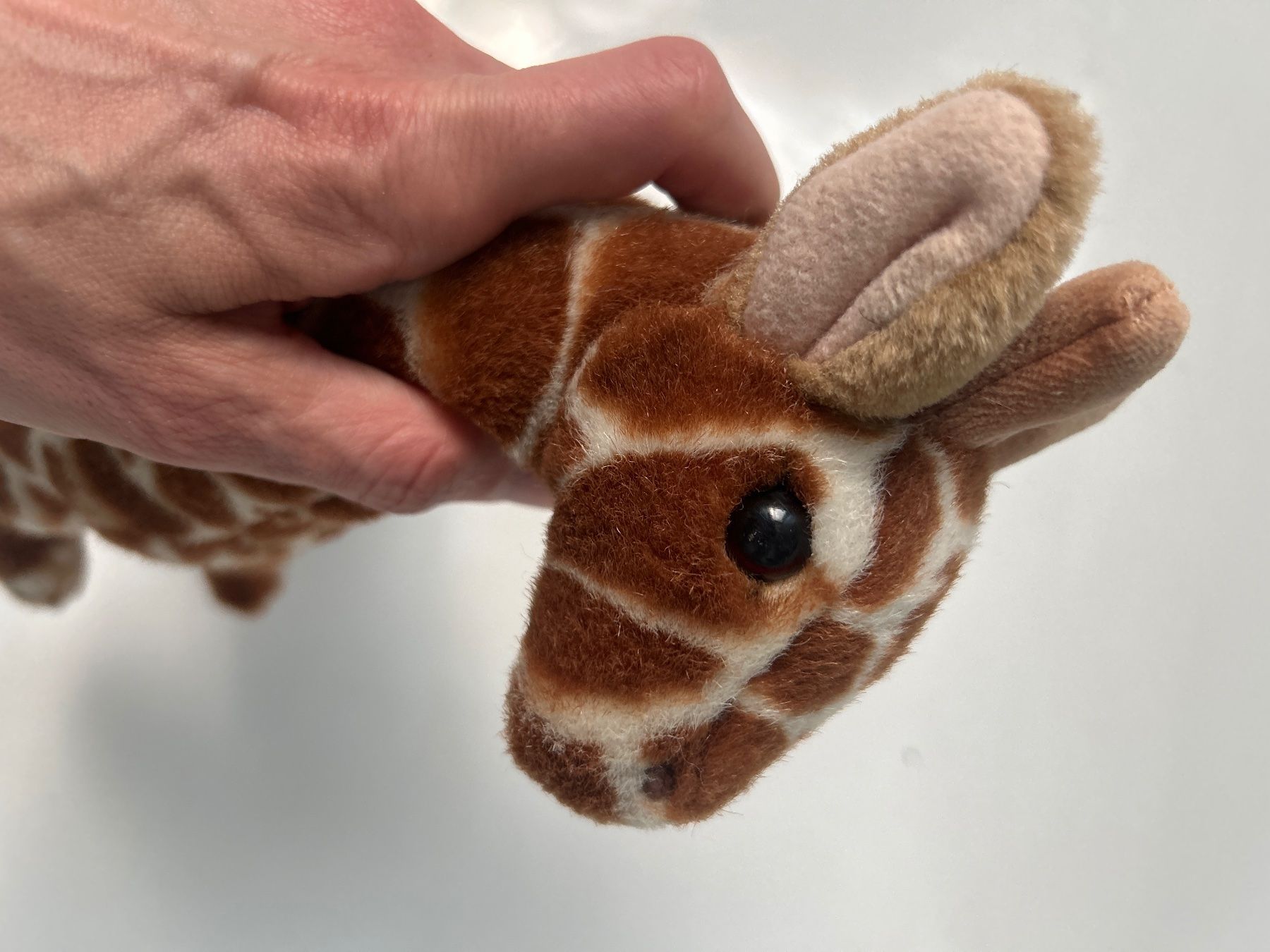 Giocattoli: Plüschtier Giraffe – Nuovo (secondo la descrizione) da St. Gallen venduto da salsera85 2