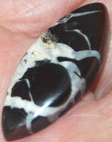 Cabochon L-1186 –Marokkanischer septarischer Edelstein–37x15