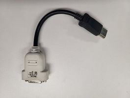 Displayport zu DVI-D Adapter, 22 cm lang, Schwarz/Weiss