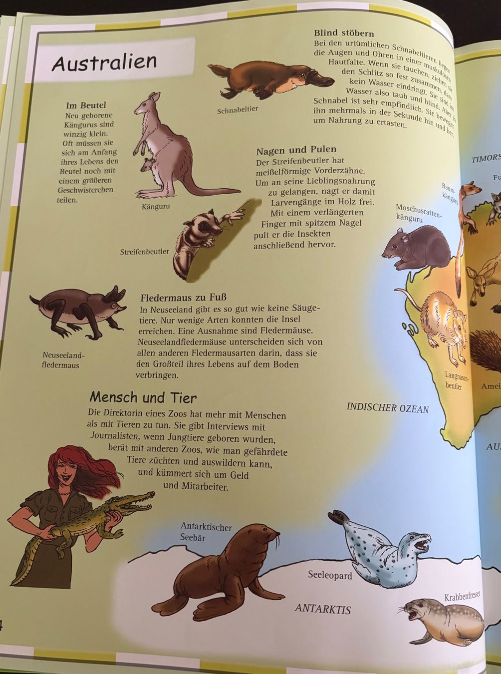 Libri: Kinderatlas ,,Tiere“ – Usato da Adliswil venduto da Myxin 6