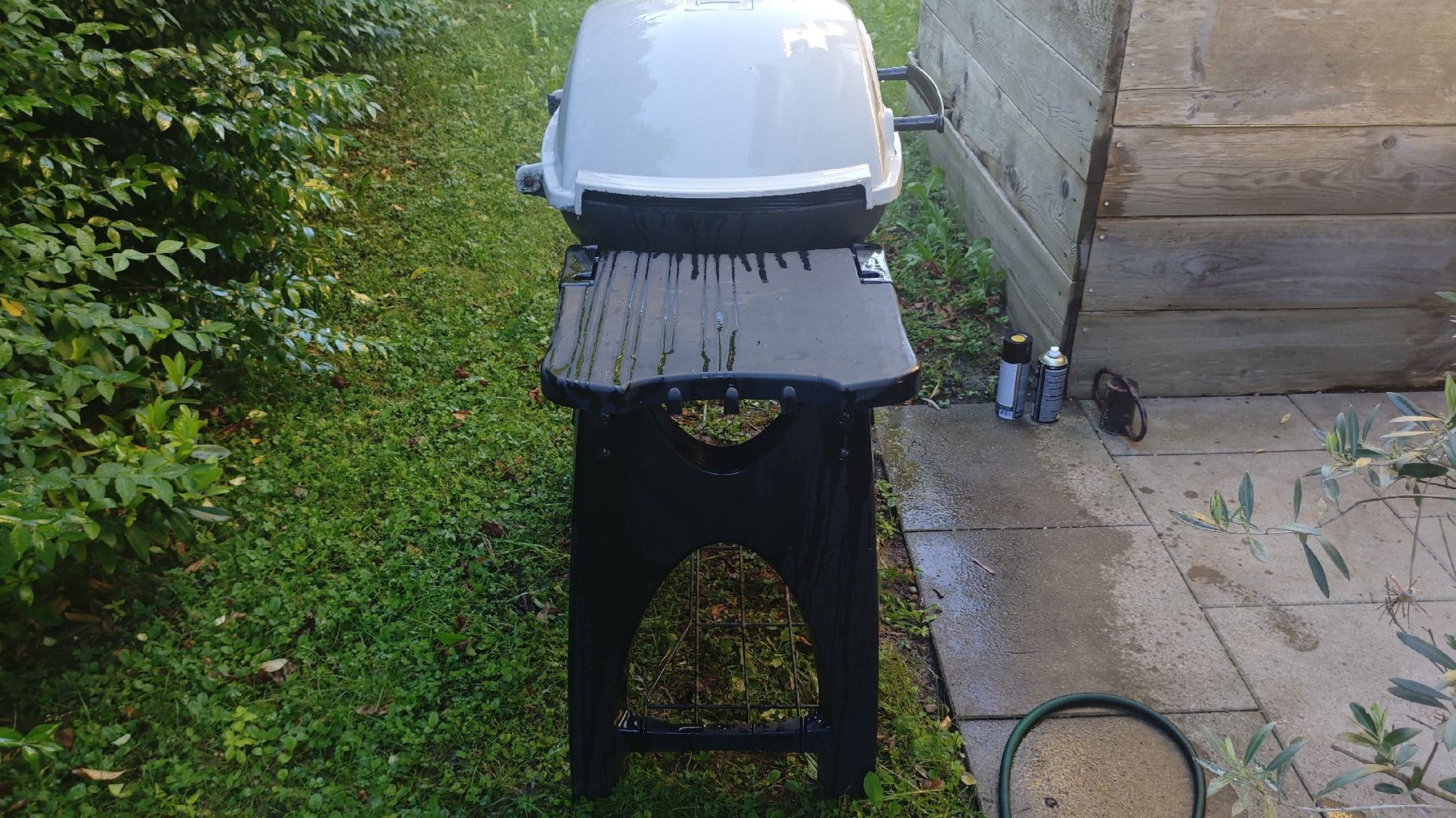 Griglie: Weber Q 300 BUTN/PROPN BBQ grill – Usato da Zürich venduto da lau_nmx8 7