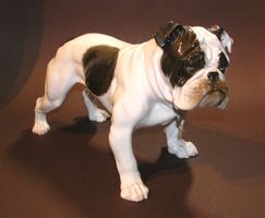 ROSENTHAL PORZELLANFIGUR GROSSE ENGLISCHE BULLDOGGE 1916