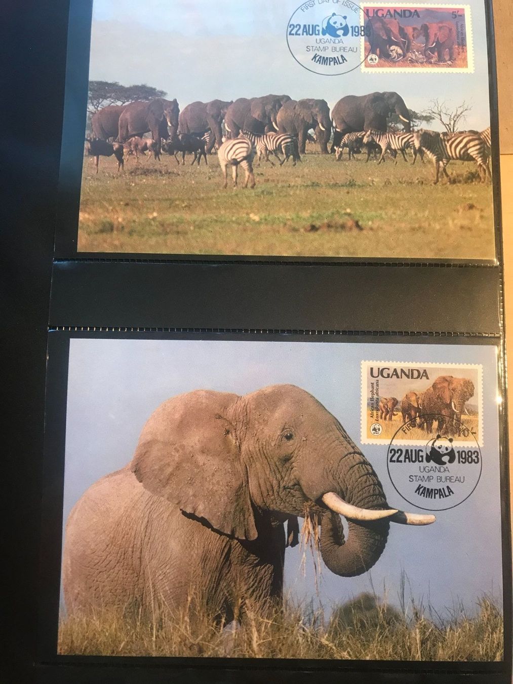 Tutti i francobolli: WWF Uganda 1983 Satz Elefanten Maximumkarten – Nuovo (secondo la descrizione) da Liestal venduto da schnueps