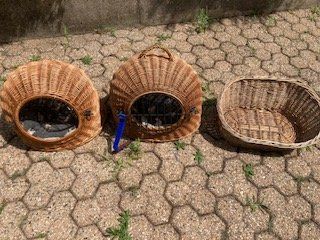 Niches, paniers: Cesti per Gatti /Katzenkörbe – D'occasion à Agno par Akasha65