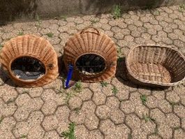 Cesti per Gatti /Katzenkörbe Einzelverkauf oder alle zusamme