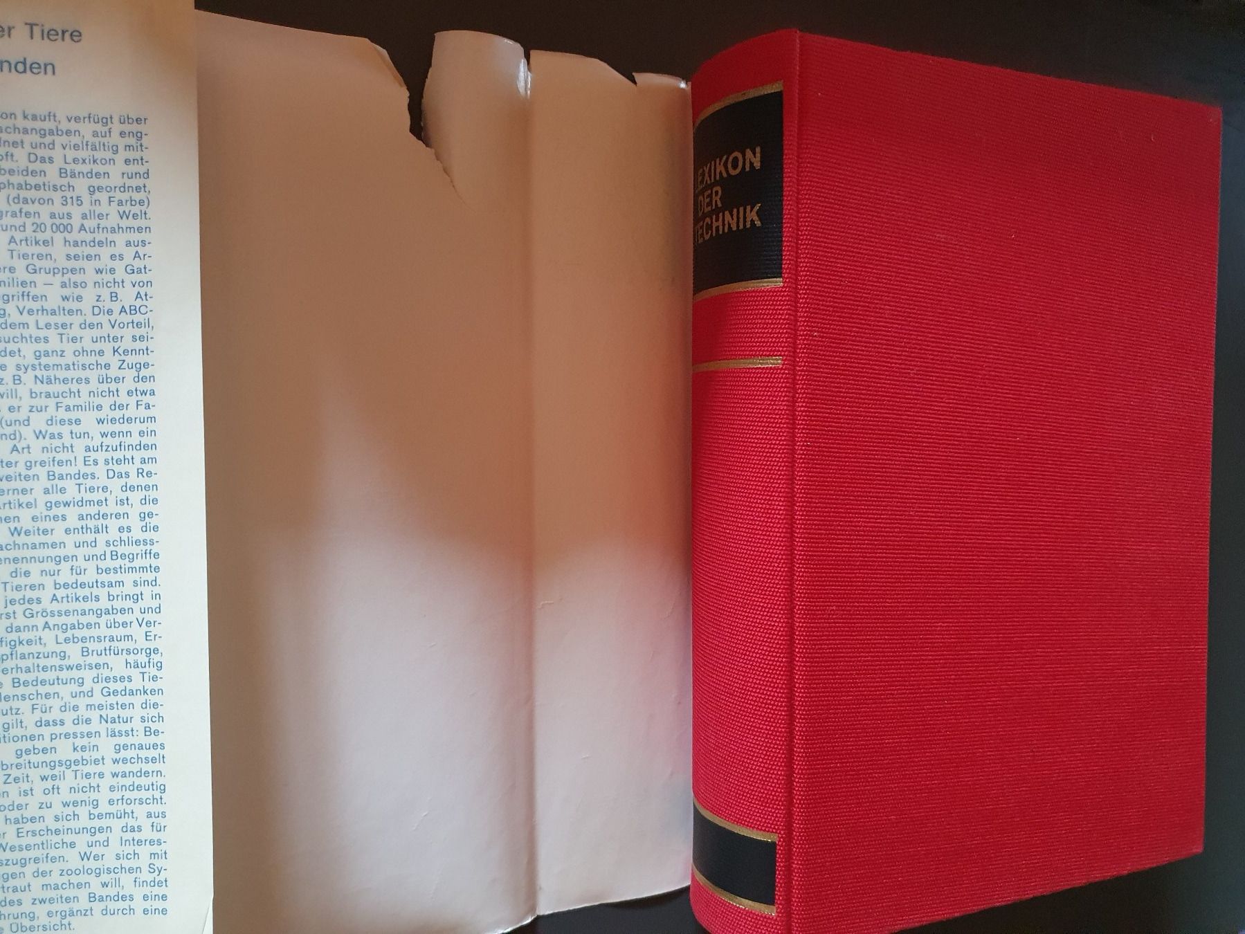 Libri: Lexikon der Technik (gut erhalten, 1972!) – Usato da Rheinfelden venduto da PRINZ4L 2