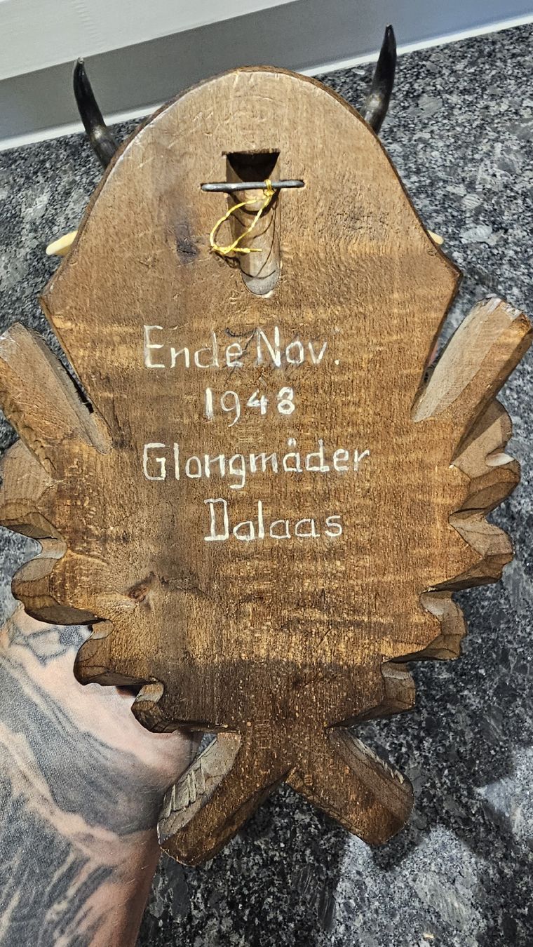 Altre raccolte & rarità: Trophäe Gehörn mit Holzschild 1948 Dalaas Jagd – Usato da Scherz venduto da gui_6q7l 2