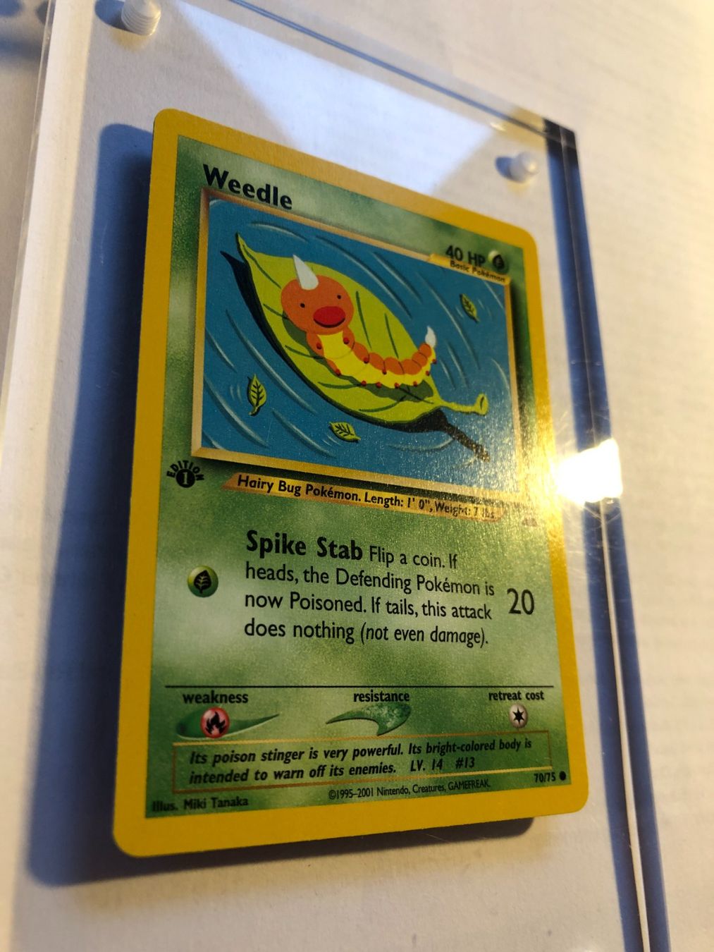 Sammelbilder & Trading cards: Weedle 1st Neo Discovery - MINT - ab 1.- – Gebraucht aus Giubiasco von dan_pr8b 1