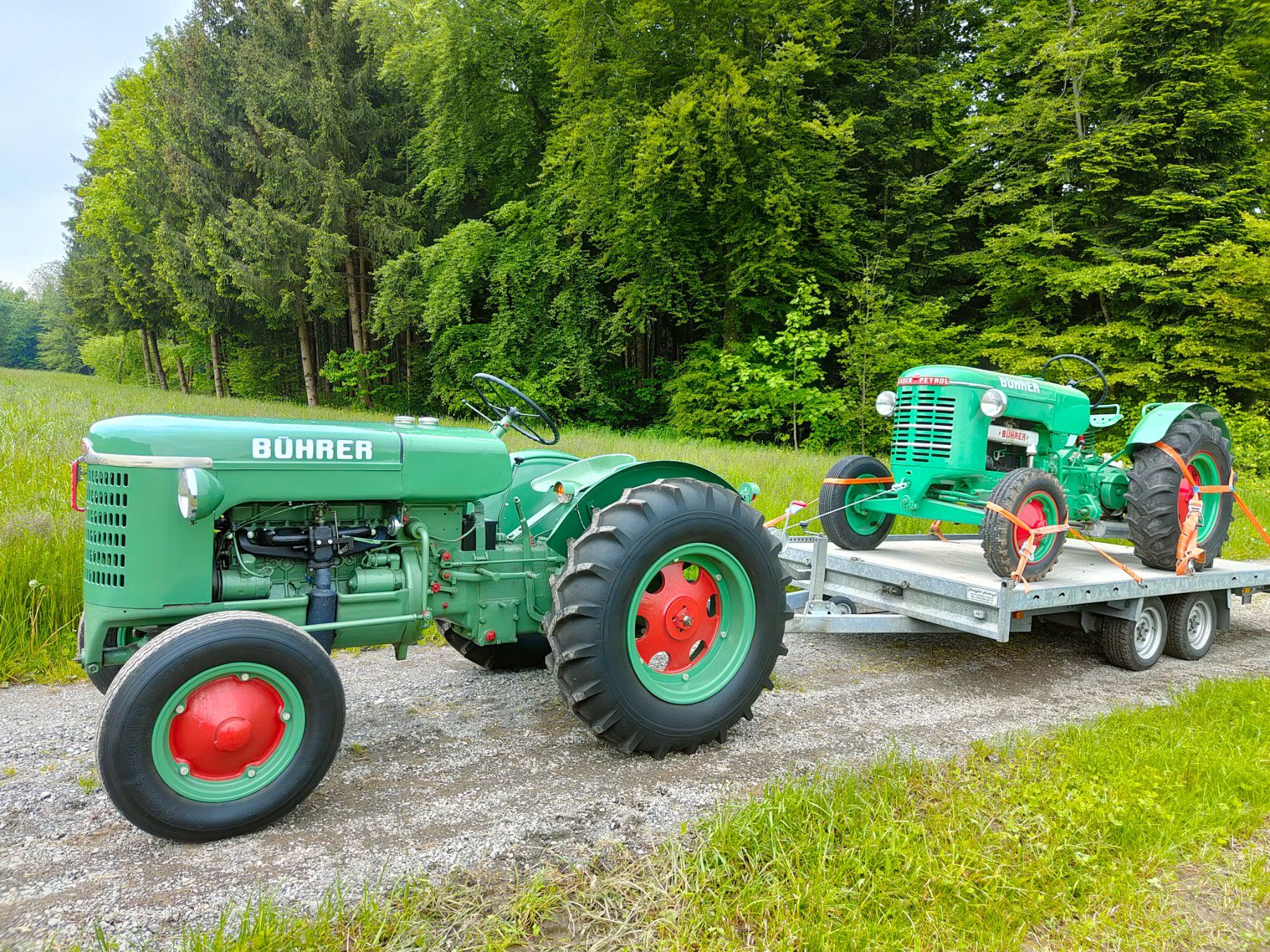 Bührer Trattori: Bührer LO6, 6 Zylinder. – Usato da Ermensee venduto da Ermensee1 4