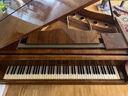 Flügel der Marke Pianino Dalibor