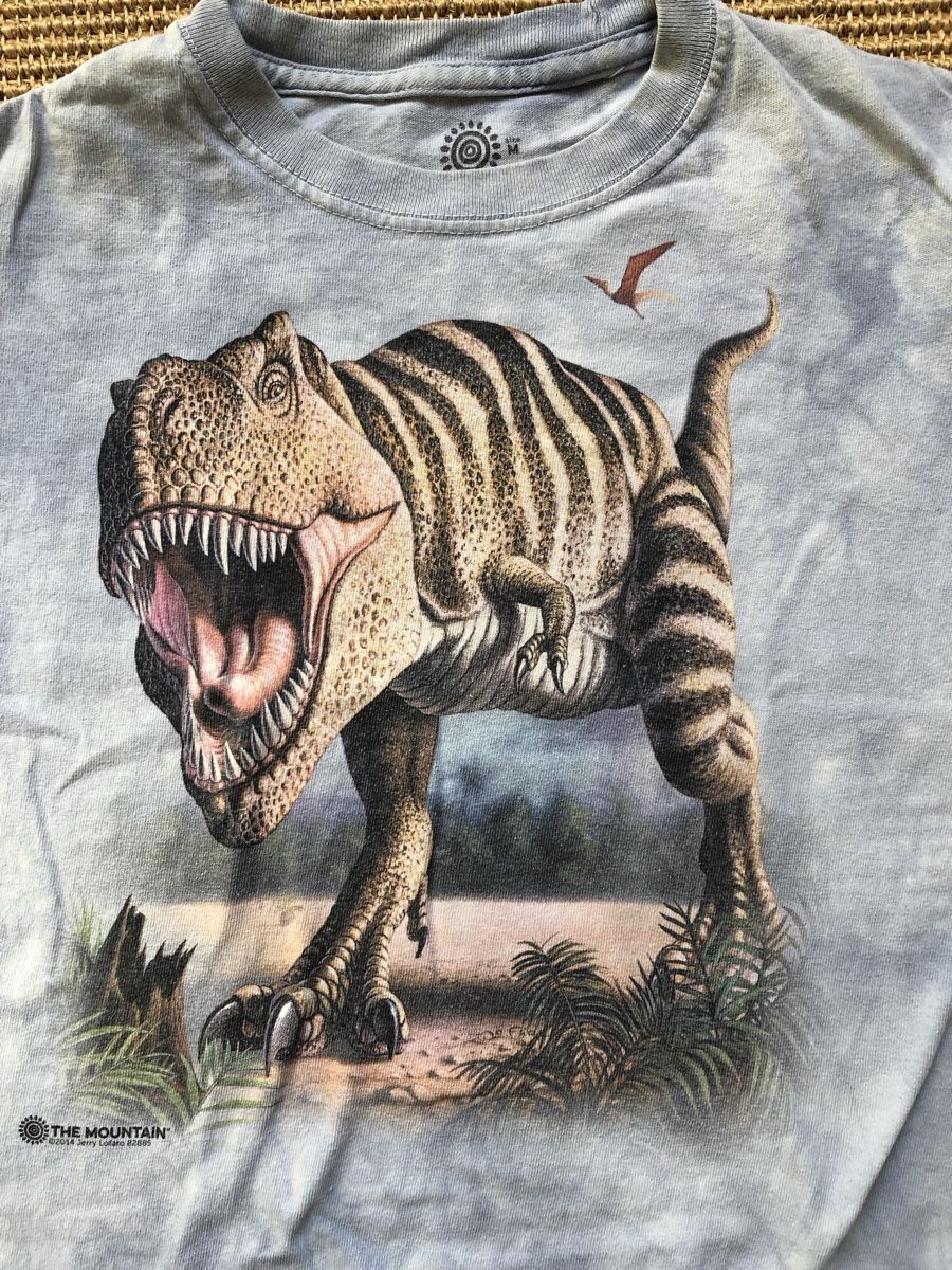 Hemden, T-Shirts & Polos: Batik Dinosaurier T-Shirt Grösse 128 – Gebraucht aus Zürich von EliseSchmitz 1