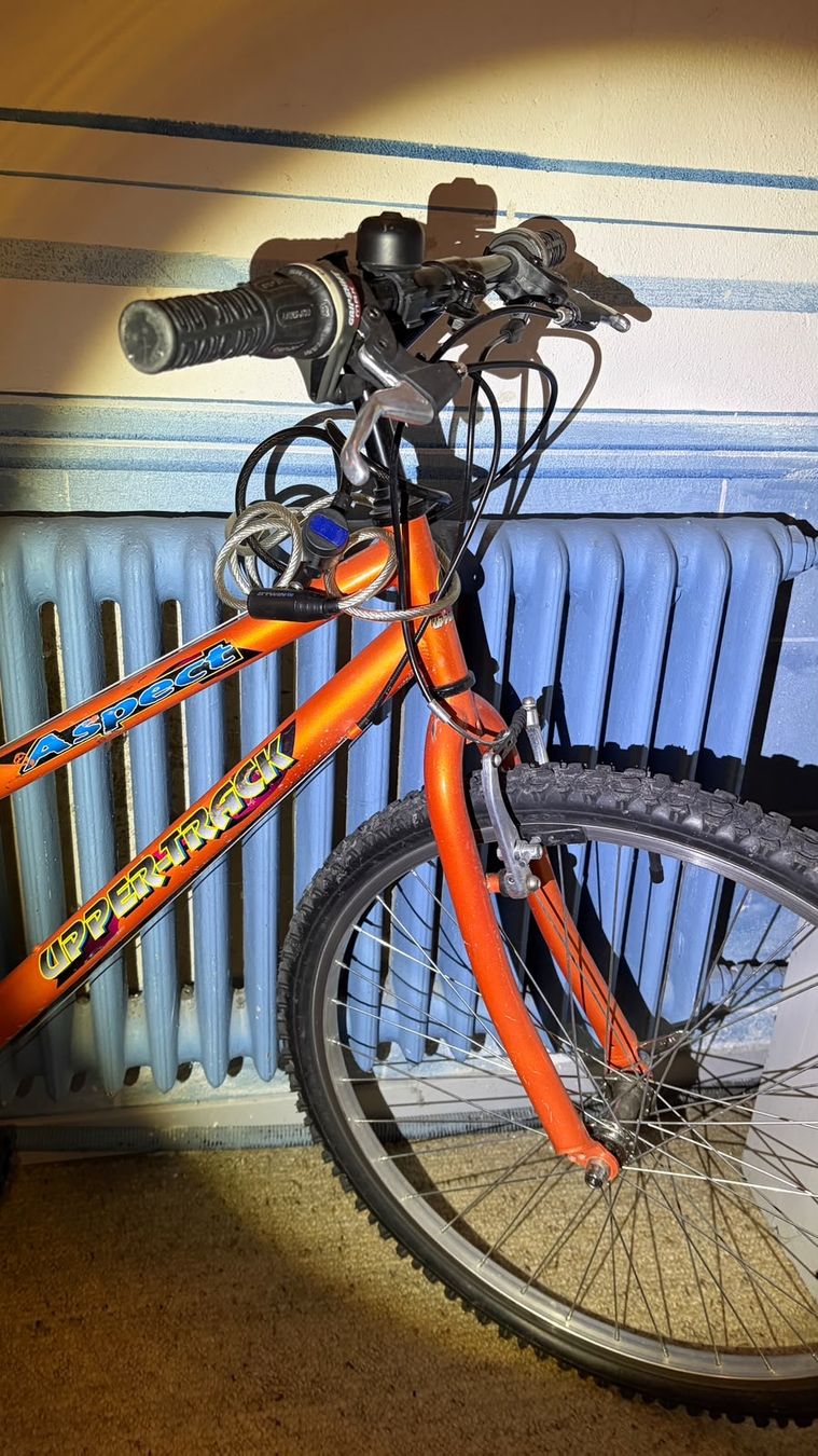 Biciclette: Vélo dame – Usato da Estavayer-le-Lac venduto da yoh_mr5v 6