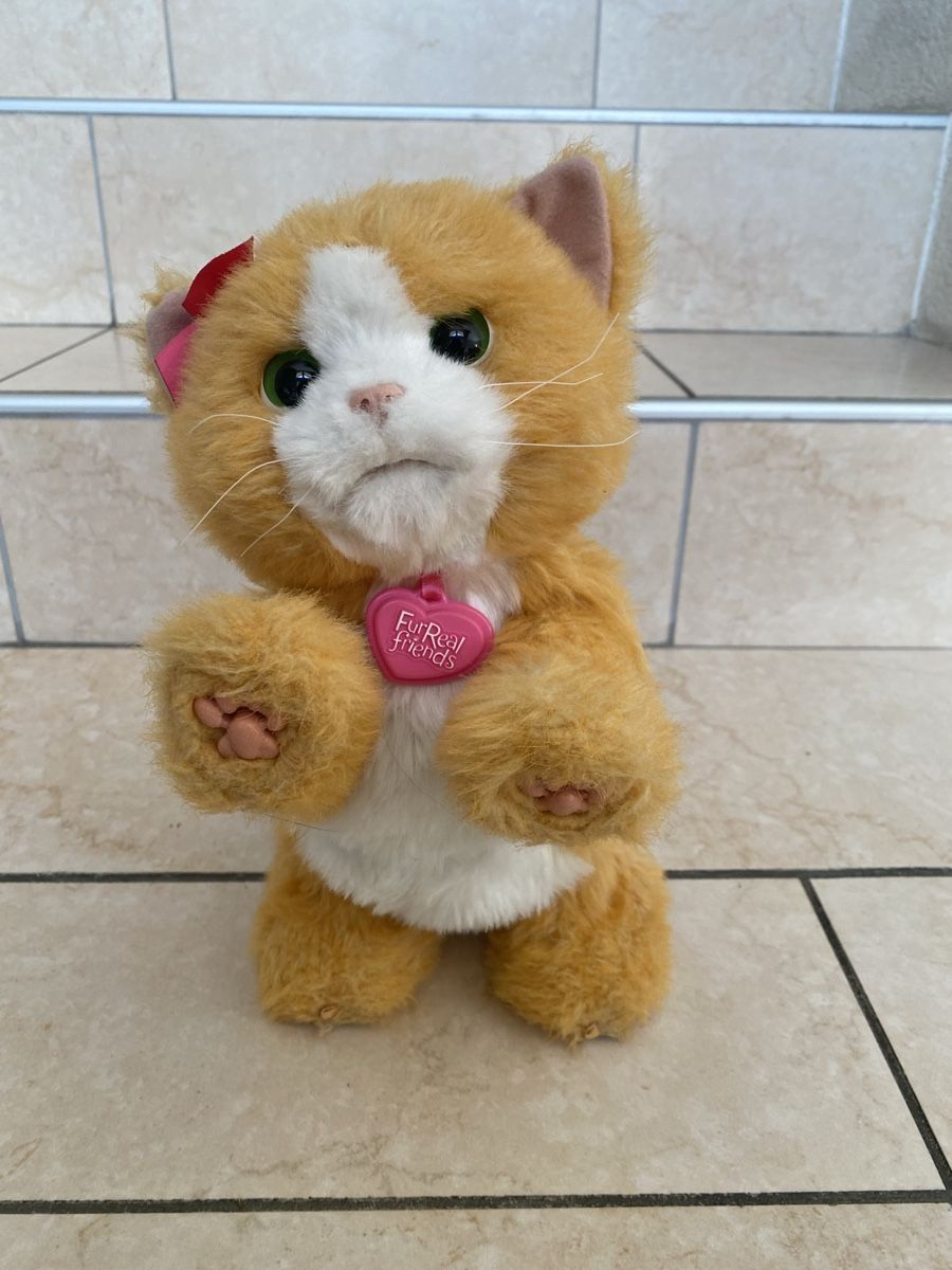 Hasbro Giocattoli: Jouet Chat Hasbro Friends – Usato da Aproz (Nendaz) venduto da ann_69m9 7