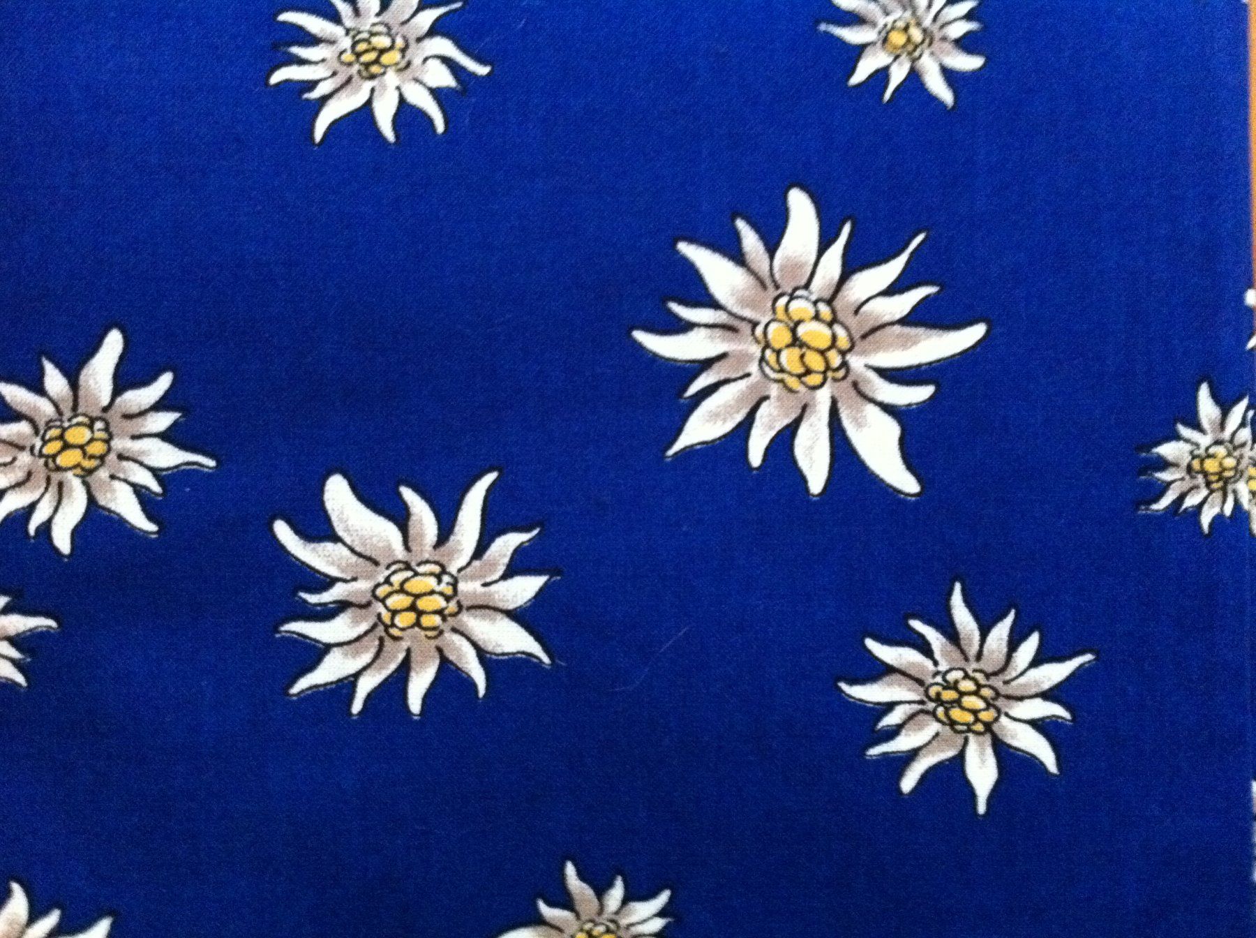 Tessuti: Stoff dunkelblau mit Edelweiss – Nuovo (secondo la descrizione) da Brunnen venduto da Artemis53 1