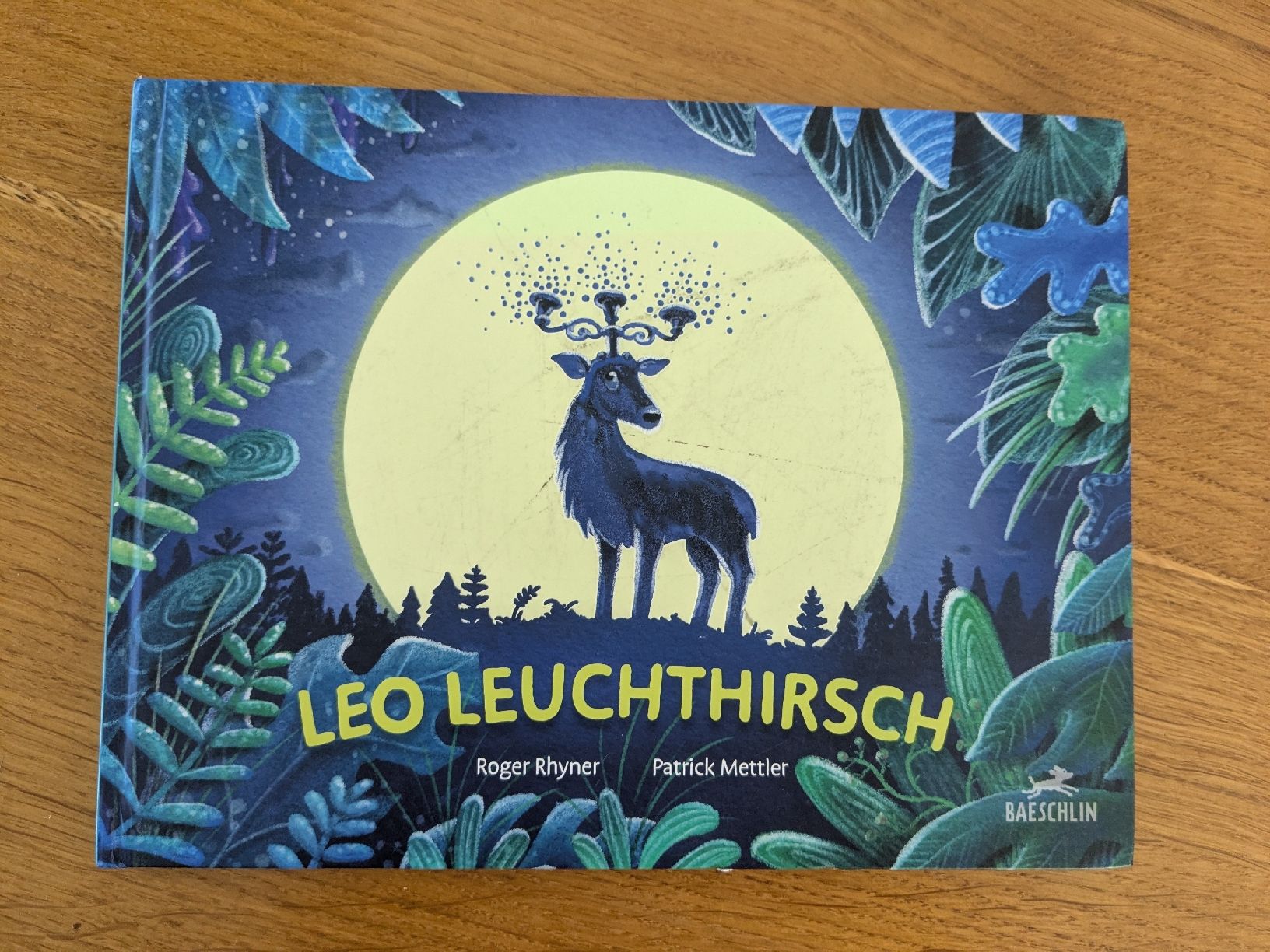 Libri: LEO LEUCHTHIRSCH - Roger Rhyner, Patrick Mettler – Usato da Wohlen AG venduto da merkur0300