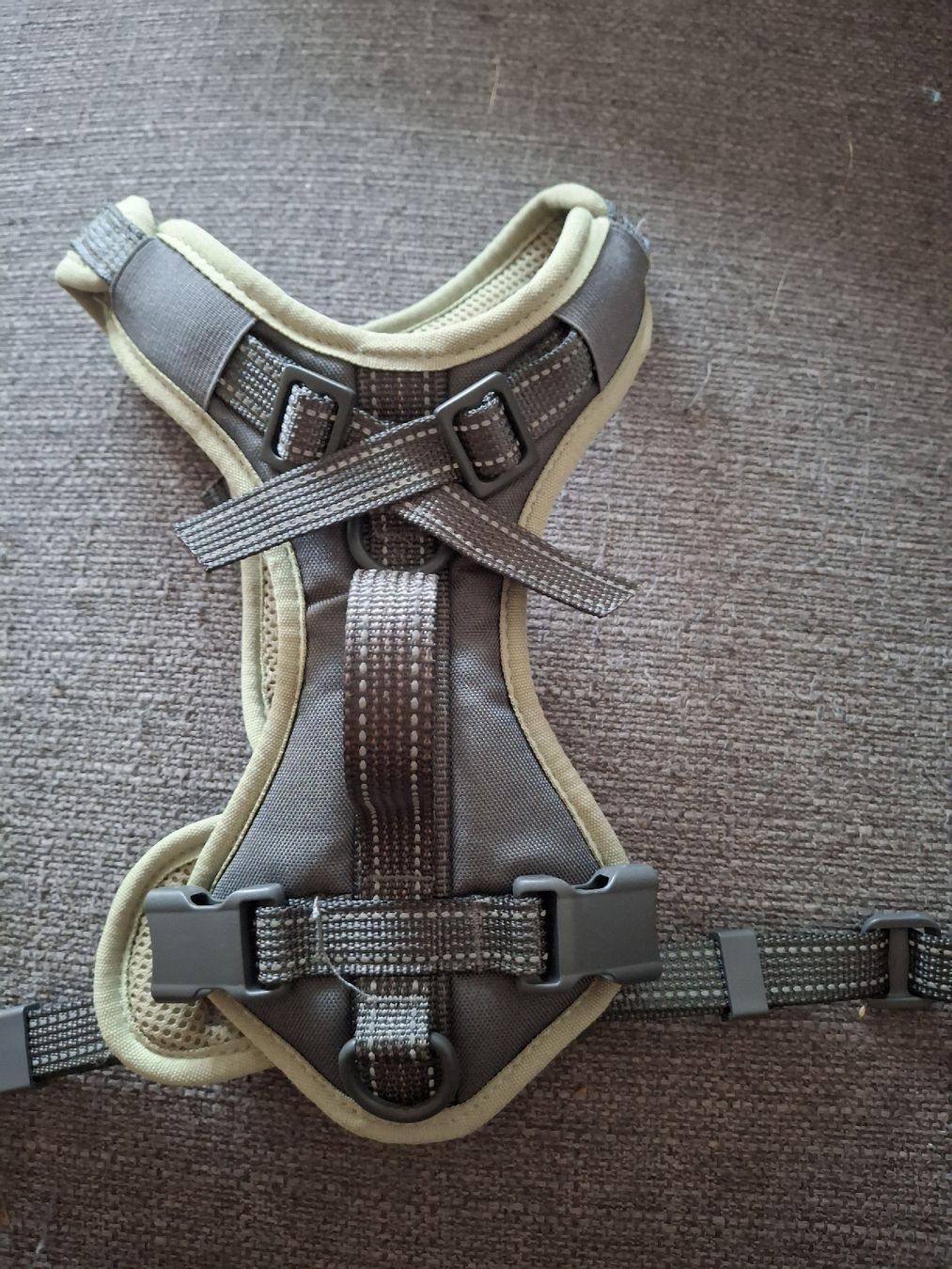 Collier et laisse: Hundegeschirr Romeo Grösse S – Neuf (Voir description) à Langenthal par Coopkiste