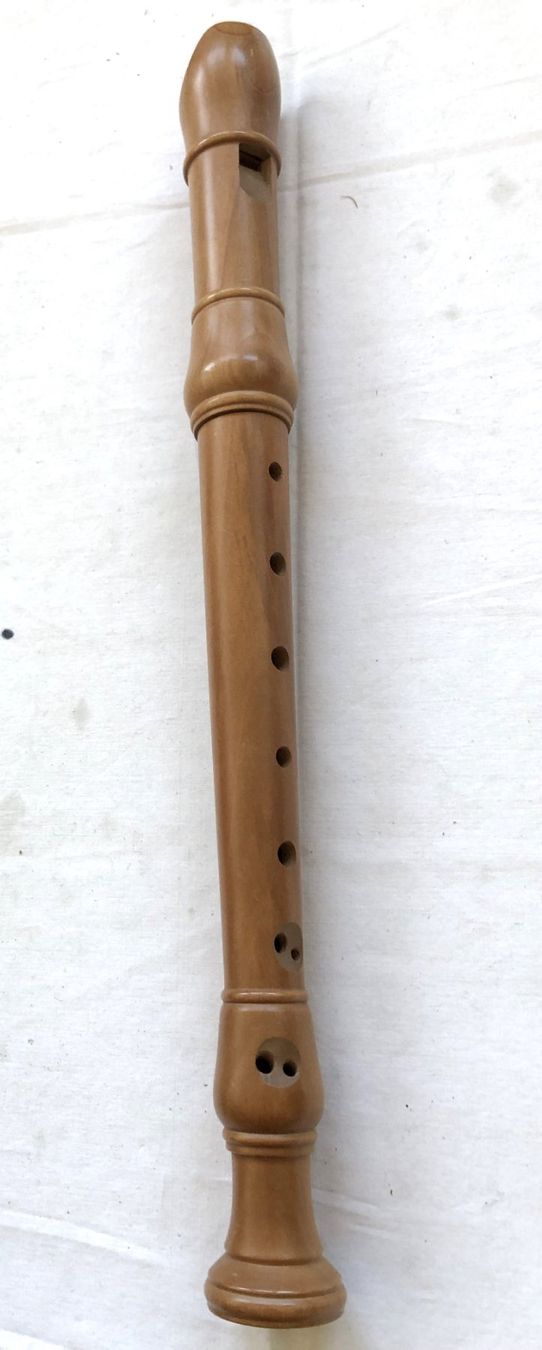 Musikinstrumente: KÜNG - Sopranblockflöte mit Etui – Gebraucht aus Schaffhausen von durruti 1