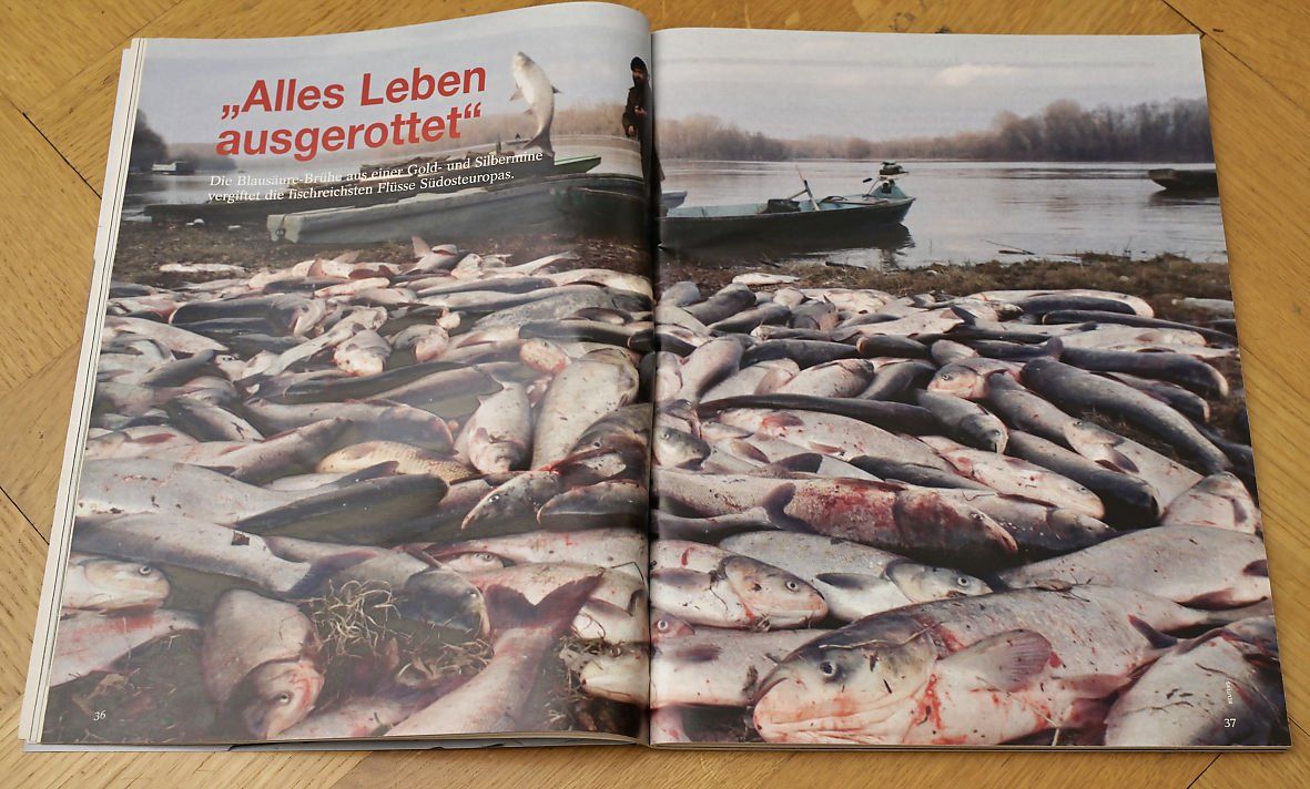 Riviste & Magazine: DER SPIEGEL 2000 Jahresrückblick – Difettoso da Bern venduto da Maccalvin 3