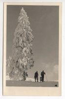 URNÄSCH Ski-Läufer zur Föhrenwaldhütte