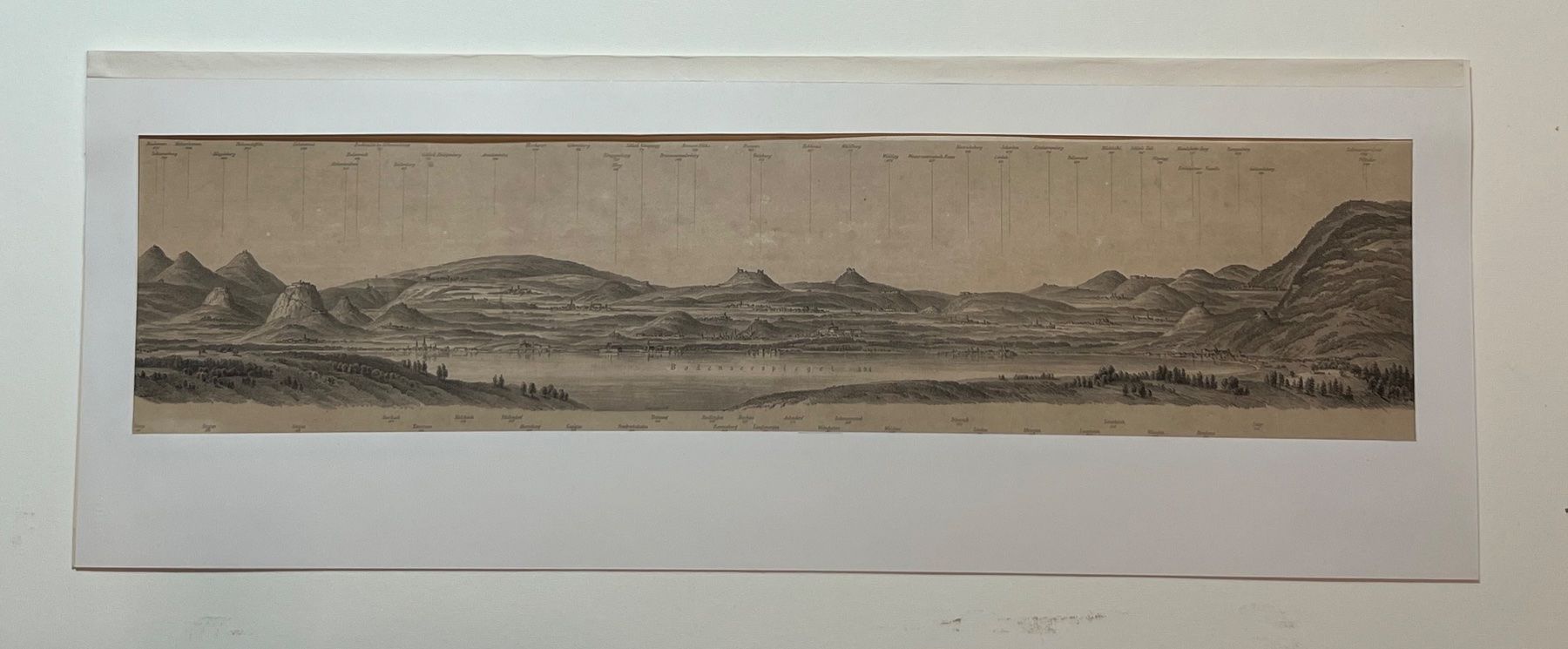 Cartine & Atlanti: Bodensee Panorama von Rorschach Lithografie von Elmiger – Usato da Vaduz venduto da Unikate-Markt