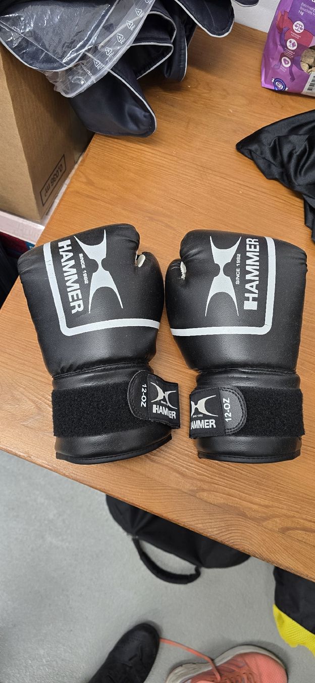 Boxsäcke: Boxsack mit Boxhandschuhen Hammer – Gebraucht aus Brütten von cld_claudio 2