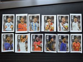 12 Coca-Cola Panini FIFA WM 2026 Sticker komplett