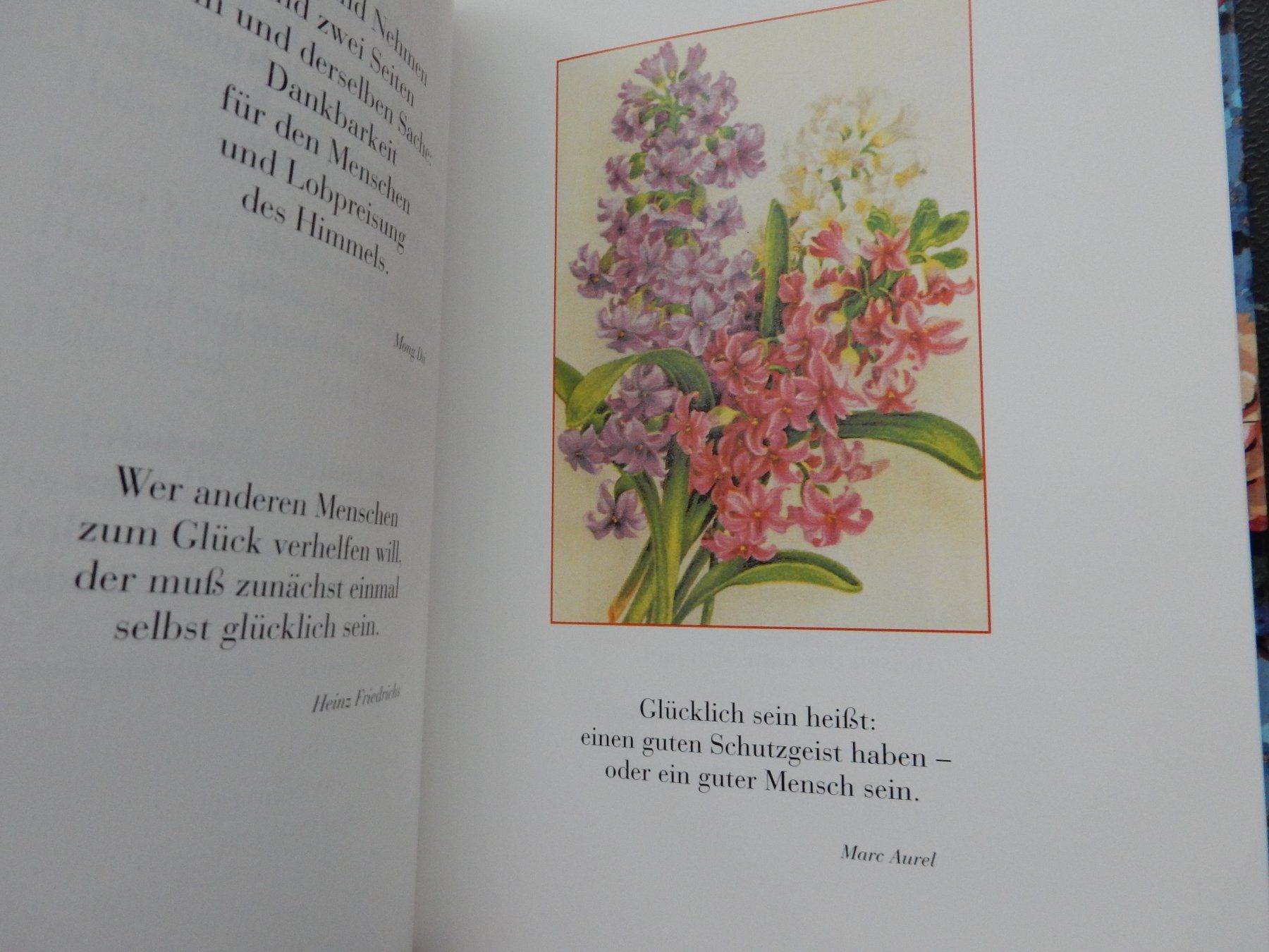Libri: Geschenkbuch - Nostalgie Romantik 'Mit bestem Dank' – Nuovo (secondo la descrizione) da Jona venduto da JOberg_25 5