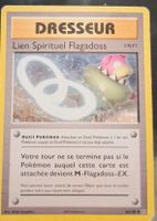 Carte Pokémon Lien Spirituel Flagadoss