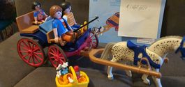 Playmobil Kutsche mit Pferd