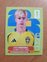 Panini WM 2026 SWE 8