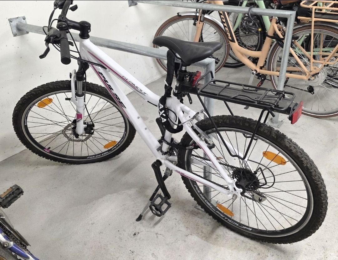 Biciclette: Mountainbike Pulse Glamour – Usato da Lohn-Ammannsegg venduto da Therealgodfather 4
