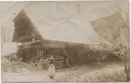LANDWIRTSCHAFT/BAUERSFRAU 1910 im Winter BE?