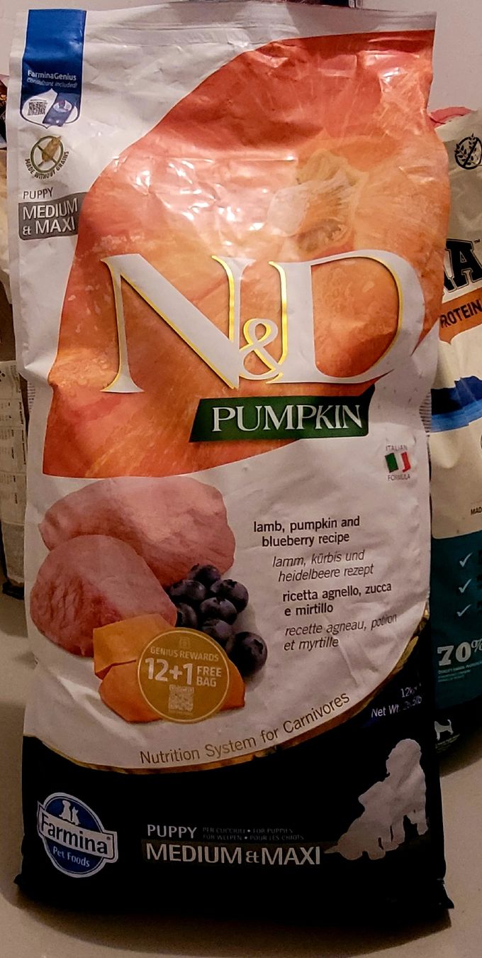 Nourriture: Hundefutter N&D Pumpkin Lamm Welpe Medium Maxi – Neuf avec emballage d'origine à Kappel SO par Matschi86
