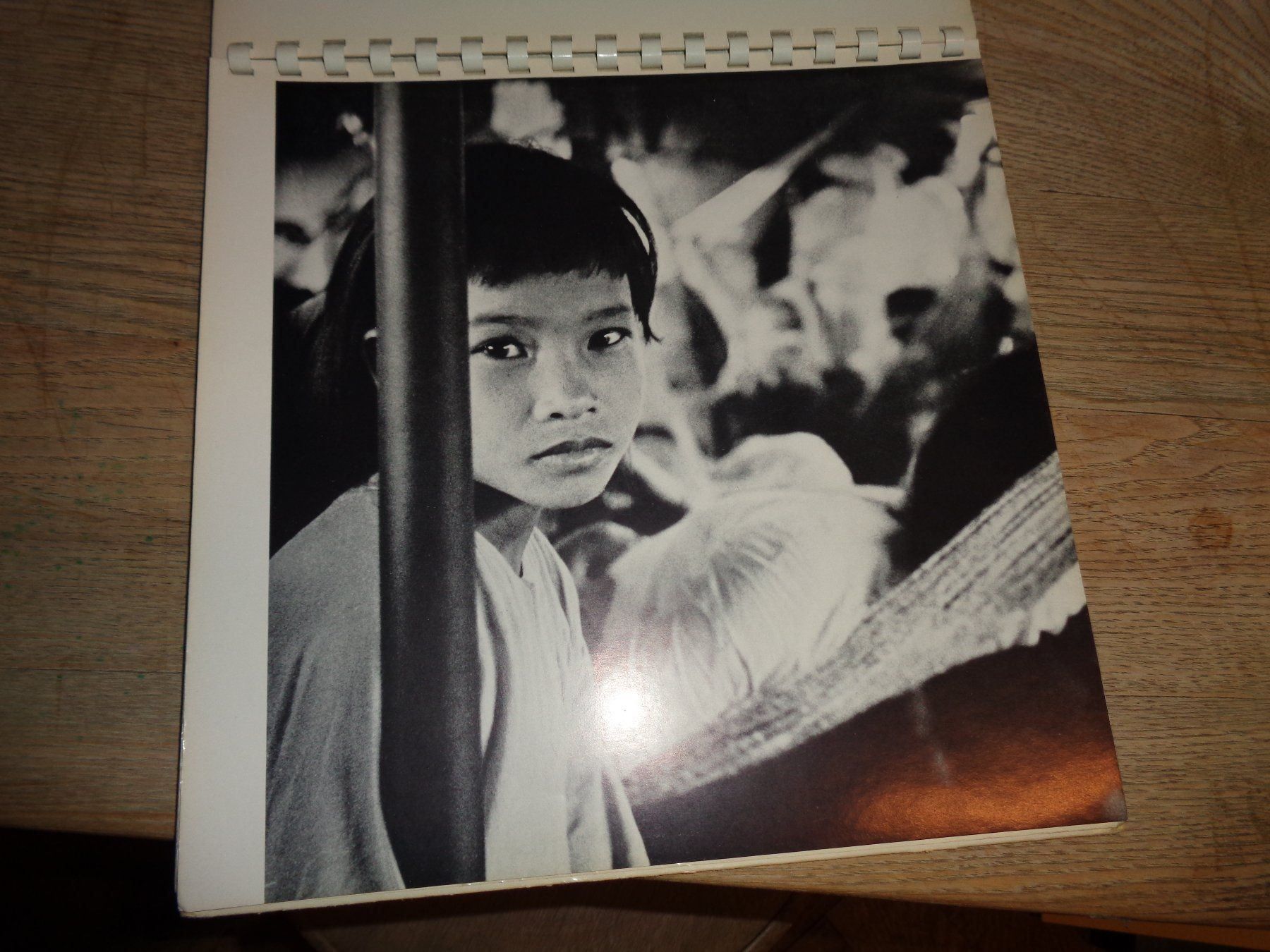Bücher: WERNER Bischof Fotoklassiker – Gebraucht aus Welschenrohr von Regool