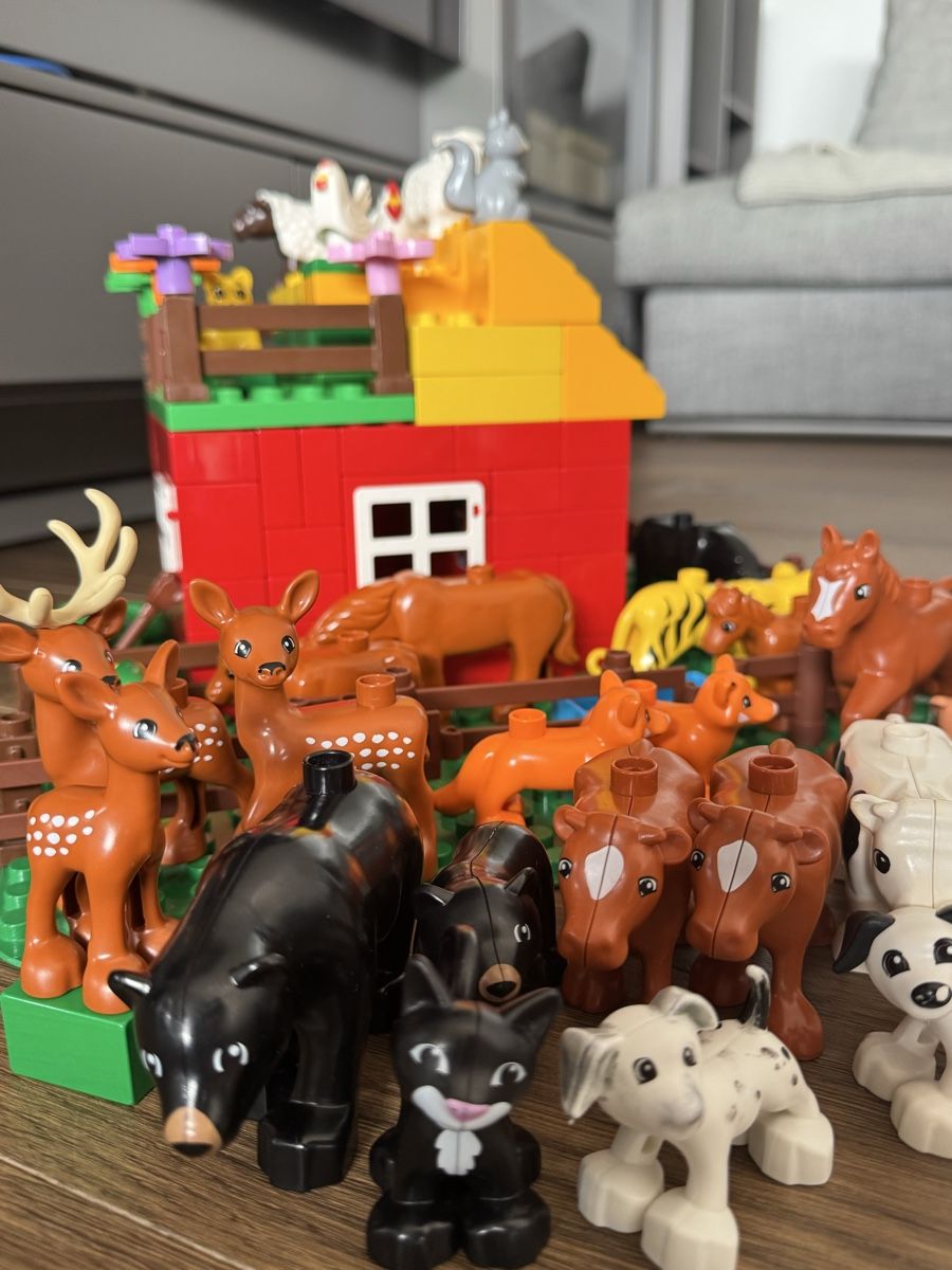 Lego Jouets: Diverse Lego Duplo Teile  – D'occasion à Uitikon Waldegg par Natalie.Lue