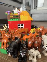 Diverse Lego Duplo Teile 
